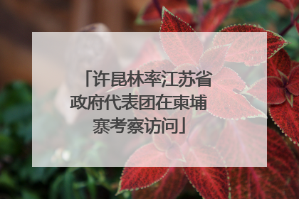 许昆林率江苏省政府代表团在柬埔寨考察访问