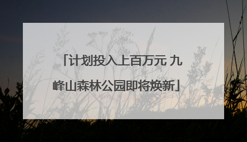 计划投入上百万元 九峰山森林公园即将焕新