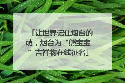 让世界记住烟台的萌，烟台为“熊宝宝”吉祥物在线征名