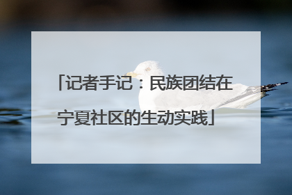 记者手记：民族团结在宁夏社区的生动实践