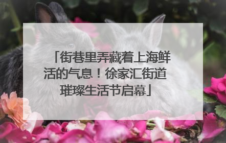 街巷里弄藏着上海鲜活的气息！徐家汇街道璀璨生活节启幕