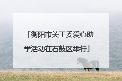 衡阳市关工委爱心助学活动在石鼓区举行