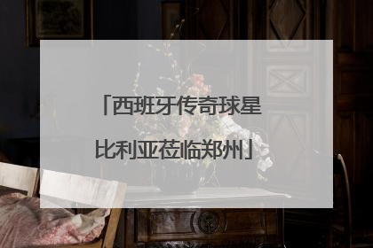 西班牙传奇球星 比利亚莅临郑州