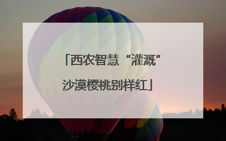 西农智慧“灌溉” 沙漠樱桃别样红