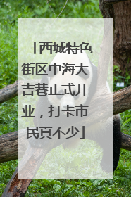 西城特色街区中海大吉巷正式开业，打卡市民真不少