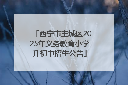 西宁市主城区2025年义务教育小学升初中招生公告