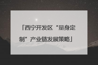 西宁开发区“量身定制”产业链发展策略