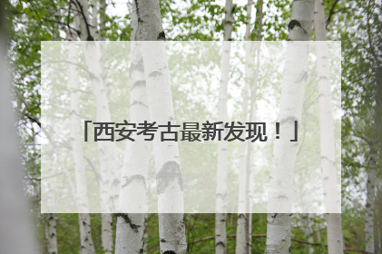 西安考古最新发现！