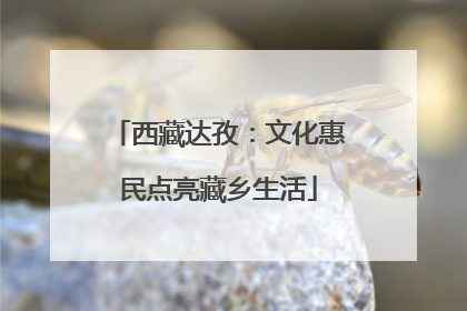 西藏达孜：文化惠民点亮藏乡生活