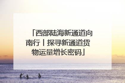 西部陆海新通道向南行丨探寻新通道货物运量增长密码
