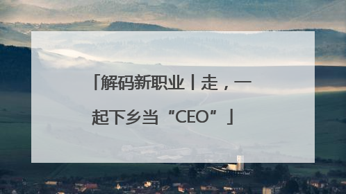 解码新职业丨走，一起下乡当“CEO”