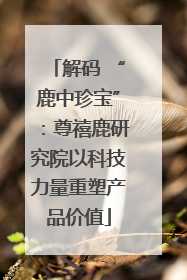 解码 “鹿中珍宝”：尊禧鹿研究院以科技力量重塑产品价值