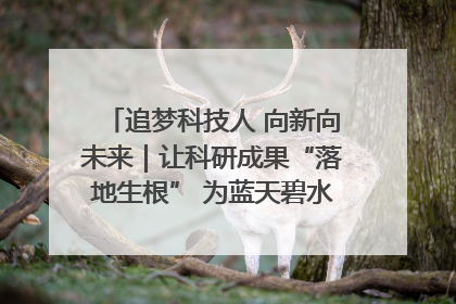 追梦科技人 向新向未来｜让科研成果“落地生根” 为蓝天碧水“保驾护航”