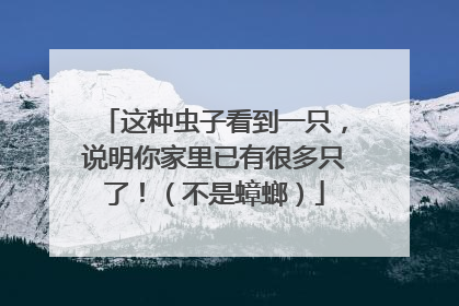 这种虫子看到一只，说明你家里已有很多只了！（不是蟑螂）