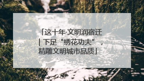这十年·文明润宿迁｜下足“绣花功夫”，精雕文明城市品质