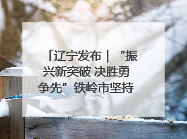 辽宁发布｜“振兴新突破 决胜勇争先”铁岭市坚持“项目为王”推进经济高质量发展