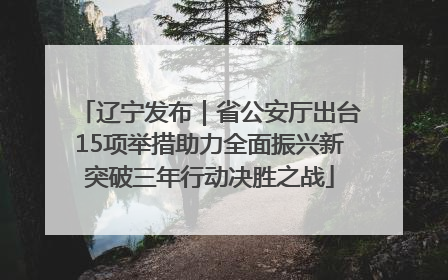 辽宁发布｜省公安厅出台15项举措助力全面振兴新突破三年行动决胜之战