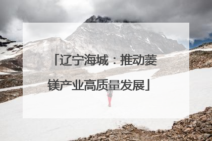 辽宁海城：推动菱镁产业高质量发展