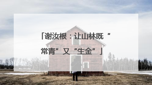 谢汝根：让山林既“常青”又“生金”