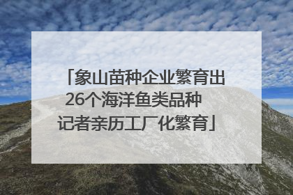 象山苗种企业繁育出26个海洋鱼类品种 记者亲历工厂化繁育