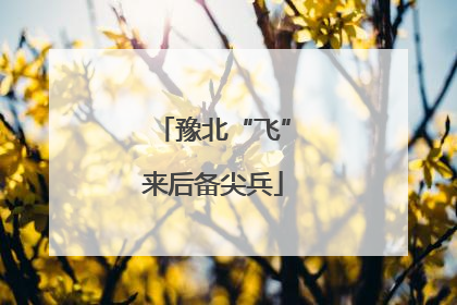 豫北“飞”来后备尖兵