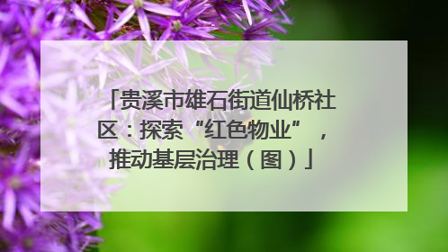 贵溪市雄石街道仙桥社区：探索“红色物业”，推动基层治理（图）