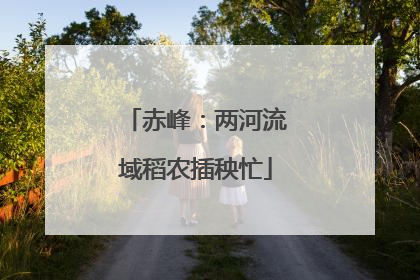 赤峰：两河流域稻农插秧忙