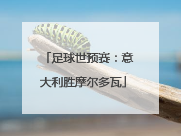 足球世预赛：意大利胜摩尔多瓦