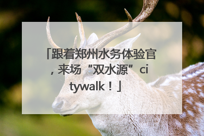 跟着郑州水务体验官，来场“双水源”citywalk！