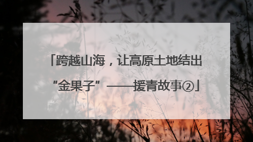 跨越山海，让高原土地结出“金果子”——援青故事②