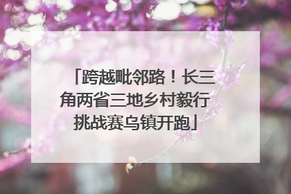 跨越毗邻路！长三角两省三地乡村毅行挑战赛乌镇开跑