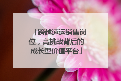 跨越速运销售岗位，高挑战背后的成长型价值平台