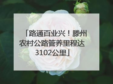 路通百业兴！滕州农村公路管养里程达3102公里