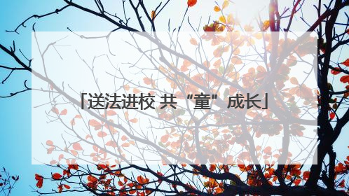 送法进校 共“童”成长