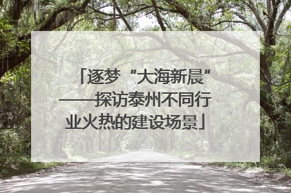 逐梦“大海新晨”——探访泰州不同行业火热的建设场景