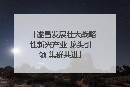 遂昌发展壮大战略性新兴产业 龙头引领 集群共进