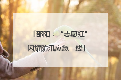 邵阳：“志愿红”闪耀防汛应急一线