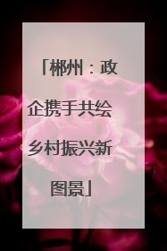 郴州：政企携手共绘乡村振兴新图景