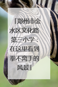郑州市金水区文化路第三小学：在这里看到拳不离手的风景