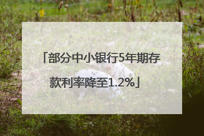 部分中小银行5年期存款利率降至1.2%