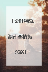 金叶铺就湖南桑植振兴路