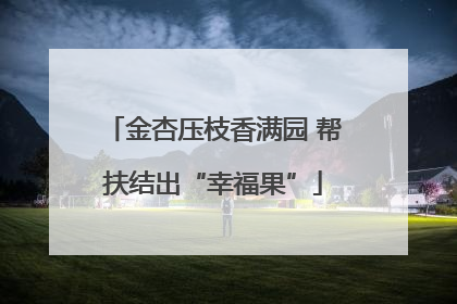 金杏压枝香满园 帮扶结出“幸福果”