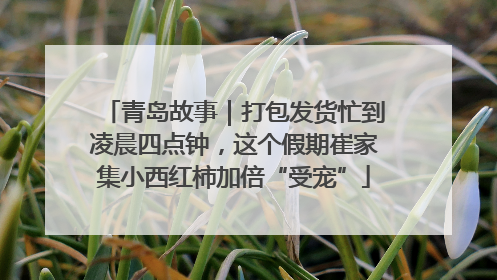 青岛故事｜打包发货忙到凌晨四点钟，这个假期崔家集小西红柿加倍“受宠”