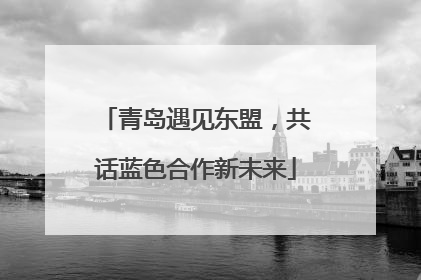 青岛遇见东盟，共话蓝色合作新未来