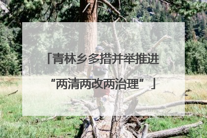 青林乡多措并举推进“两清两改两治理”