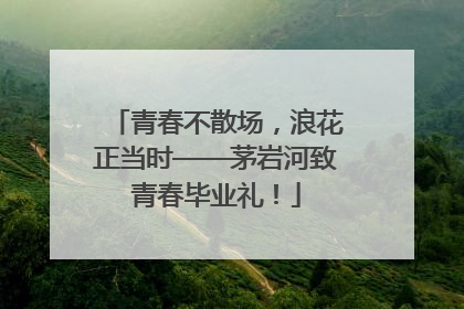 青春不散场，浪花正当时——茅岩河致青春毕业礼！