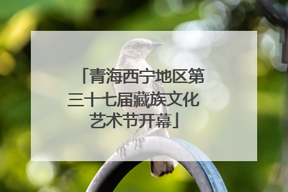 青海西宁地区第三十七届藏族文化艺术节开幕