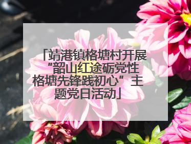 靖港镇格塘村开展“韶山红途砺党性 格塘先锋践初心”主题党日活动