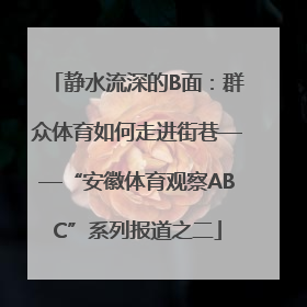 静水流深的B面：群众体育如何走进街巷——“安徽体育观察ABC”系列报道之二