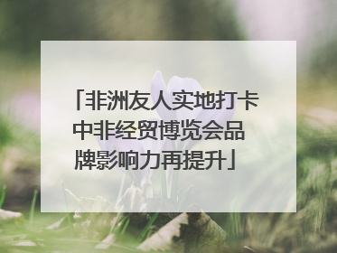 非洲友人实地打卡 中非经贸博览会品牌影响力再提升